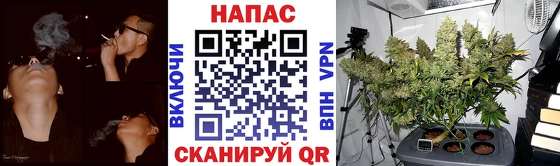 дарнет шоп  Фрязино  Шишки марихуана ГИДРОПОН 